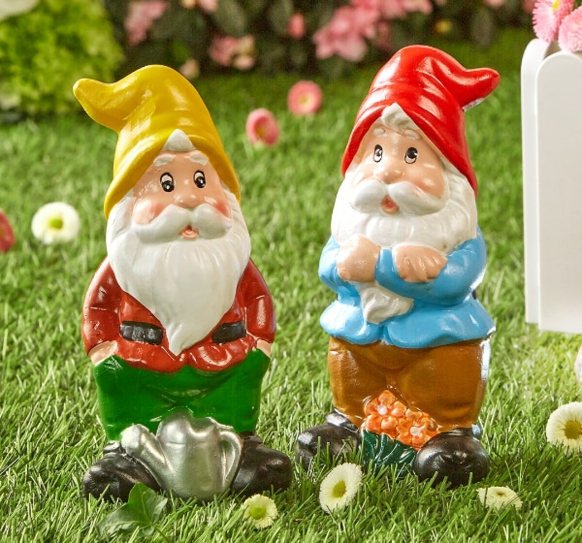 Bild 1 von Gartenzwerg*