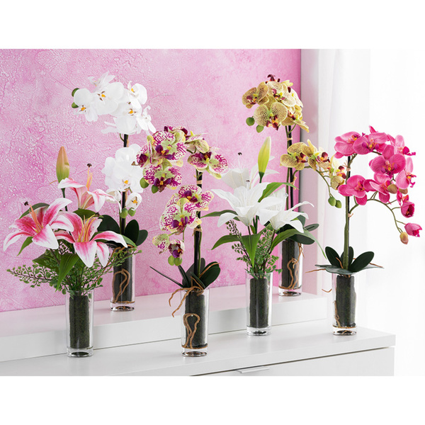 Bild 1 von Bella Casa Deko-Orchidee oder -Lilie