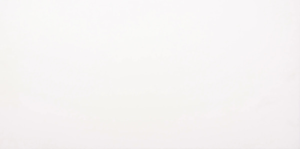 Bild 1 von Wandfliese Polaris 30 x 60 cm weiß matt
