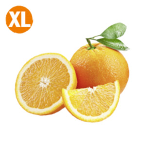 Spanien Orangen
