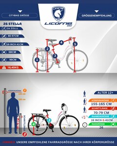 Licorne Bike Stella Premium City Bike in 24, 26 und 28 Zoll - Fahrrad für Mädchen, Jungen, Herren und Damen - Shimano 21 Gang-Schaltung - Hollandfahrrad