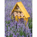 Bild 3 von GROW by OBI Lavendel "Hidcote" 6er-Pack Lavandula angustifolia
