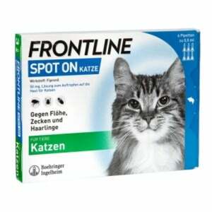 FRONTLINE SPOT-ON Katzen 6  St