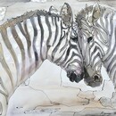 Bild 1 von Kayoom Öl-Wandbild Zebra II 80x80 MEL920
