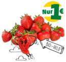 Bild 1 von NATURGUT Bio-Erdbeeren*