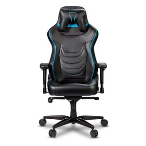 MEDION ERAZER® Druid X10, Gaming Stuhl mit hohem Sitzkomfort, sportlichen Look, abnehmbares Kopfkissen (B-Ware)