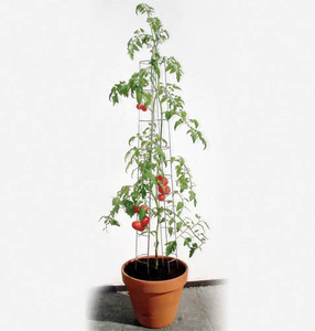 Bellissa Tomatenturm 120cm 120 cm hoch