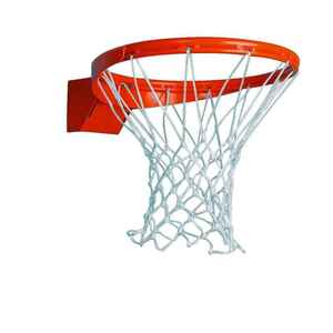 Sport-Thieme Basketballkorb Premium, abklappbar, Abklappbar ab 105 kg, Inkl