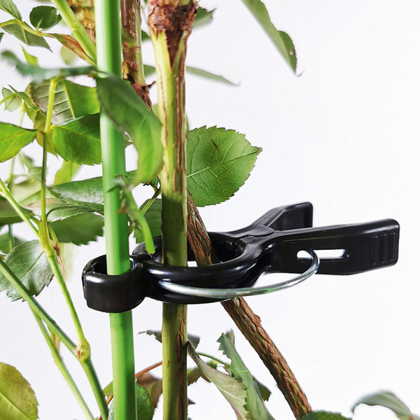 Bild 2 von Powertec Garden Pflanzenklammern 10er-Set