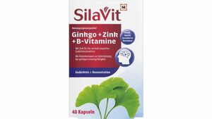 SilaVit Kapseln Ginkgo Zink B Vitamine Gedächtnis & Konzentration