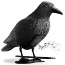 Bild 1 von Gardigo Vogel-Abwehr Krähe mit Sound inkl.Batterien