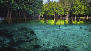 Thailand - 5* Anana Ecological Resort Krabi
