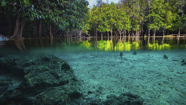 Bild 1 von Thailand - 5* Anana Ecological Resort Krabi