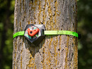 Bild 2 von Slackers Ninja Treeclimbers - Baum-Klettergriffe