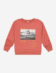 Mädchen Sweatshirt - Print