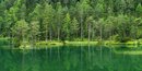 Bild 1 von Kollektion Wiedemann Bild &quot;FERNSTEINSEE&quot;,...