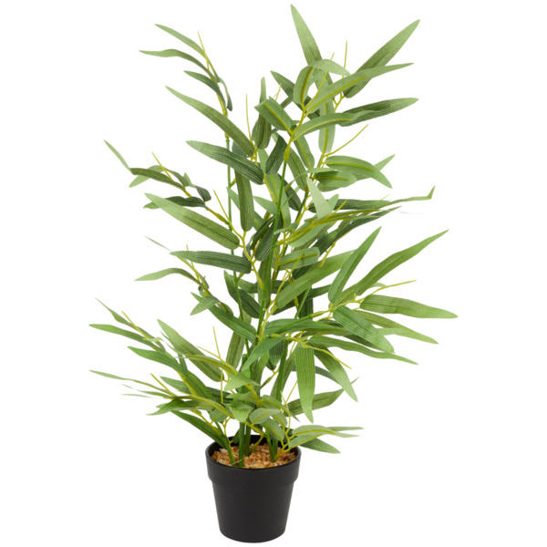 Bild 1 von Bambuspflanze im Topf