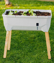 Bild 2 von Gusta Garden Mini-Hochbeet Sammy Salad, ca. B79/H95/T38 cm