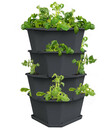 Bild 1 von Gusta Garden Kartoffelturm Paul Potato Starter 4 Etagen, ca. B44/H65/T44 cm