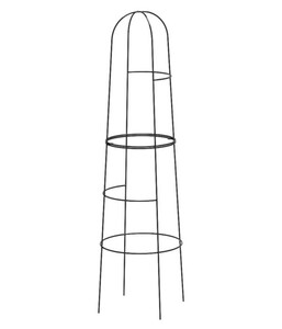 Dehner Obelisk Kuro