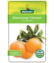 Bild 4 von Bitterorange 'Chinotto'