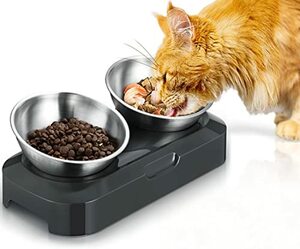 PewinGo Katzennapf-15° Erhöhte Schüssel Edelstahl Lebensmittelqualität,rutschfeste Silikonbasis mit 0° und 15° Vorschubwinkel Kipphals-Schutzschale für Haustiere, Katzen und Welpen