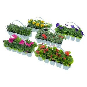 Piardino Pflanzen-Set