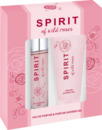 Bild 1 von SPIRIT of Wild Roses Geschenkset