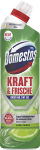 Domestos Kraft & Frische WC Gel Lime Fresh