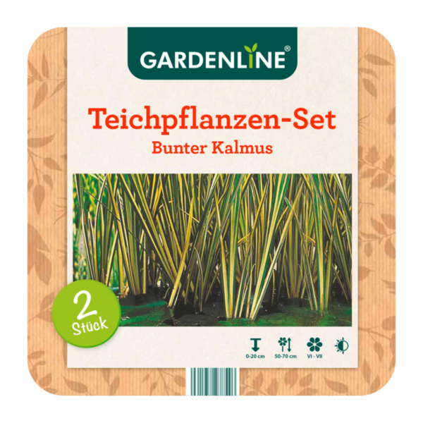 Bild 2 von GARDENLINE Teichpflanzen-Set