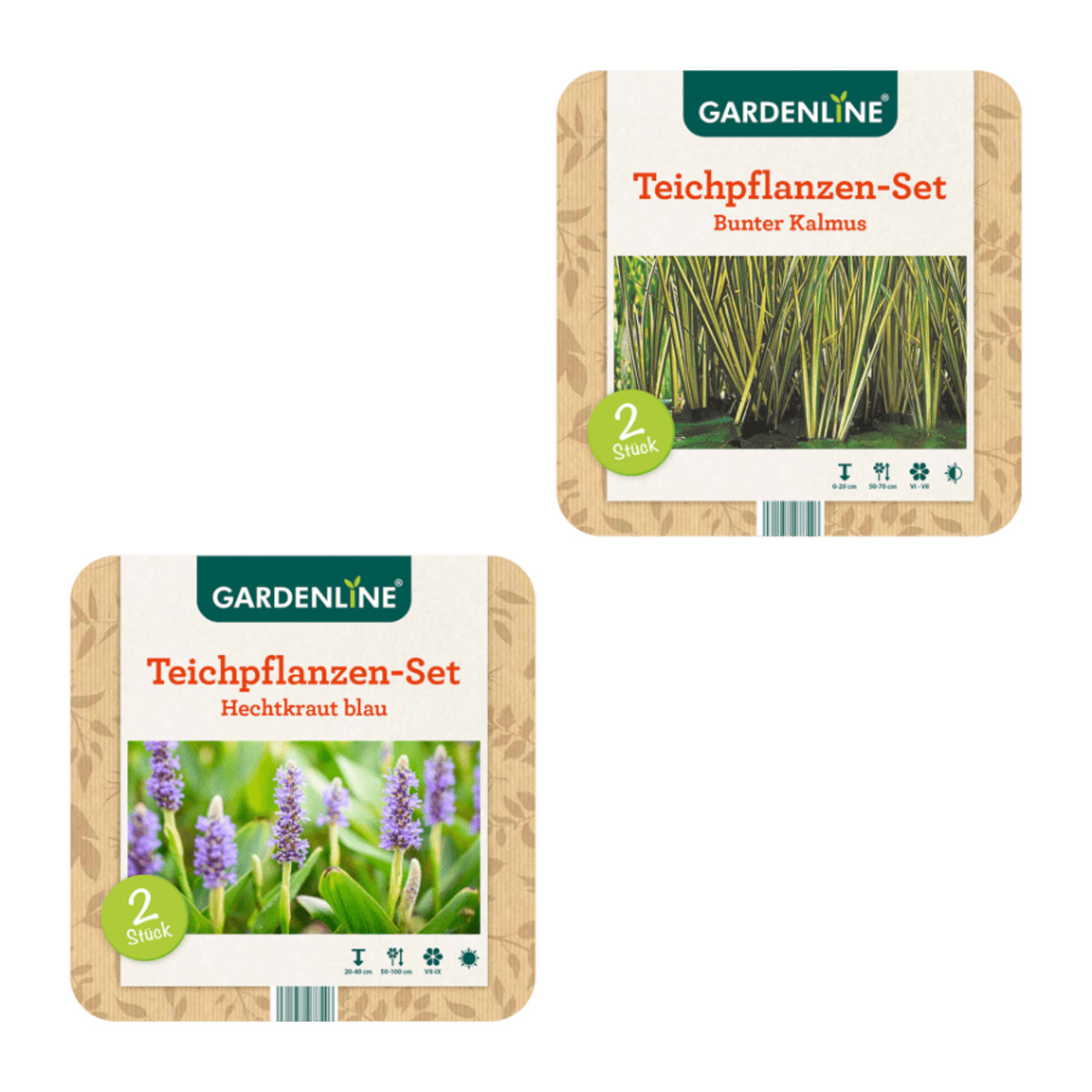 Bild 1 von GARDENLINE Teichpflanzen-Set