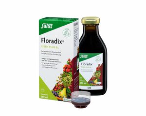 Salus  Floradix®  Eisen plus B12 vegan 250 ml
