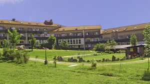 Bayerischer Wald - Viechtach - Hotel am Pfahl