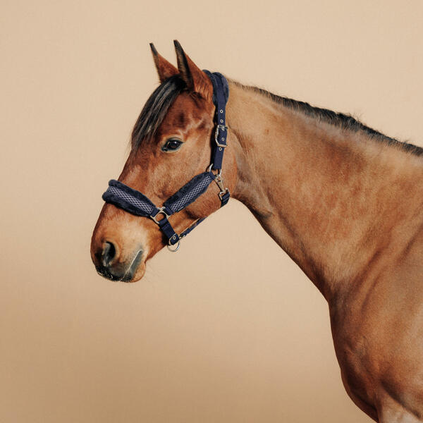 Bild 1 von Halfter Comfort Pferd dunkelblau