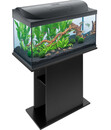 Bild 3 von Tetra Aquarium-Set Starter Line LED, 105 l, ca. B76/H48/T37 cm