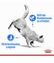 Bild 2 von ROYAL CANIN® Nassfutter für Katzen Light Weight Care in Soße, 12 x 85 g