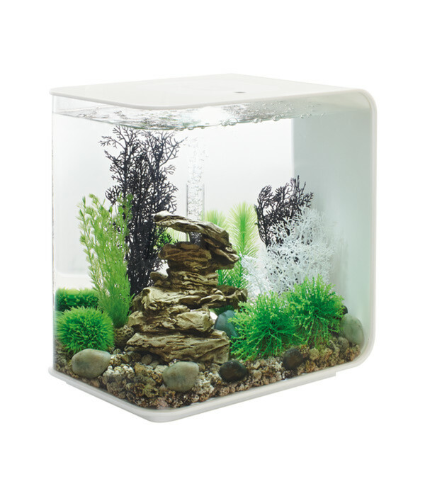 Bild 1 von biOrb® Aquarium FLOW 30 MCR