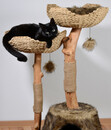 Bild 2 von Dobar petlife Design-Katzenmöbel Tony, ca. B60/H111/T45 cm