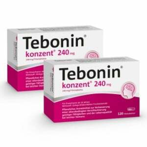 Tebonin konzent 240 mg Doppelpack 240 St