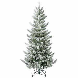 Evergreen Weihnachtsbaum Cedar Frost Kiefer 180cm