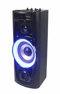 Reflexion PS07BT schwarz akkubetriebende Discosound/Karaoke-Anlage