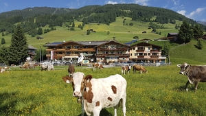 Österreich - Zillertal - Wanderreise Alpenerlebnis Pur