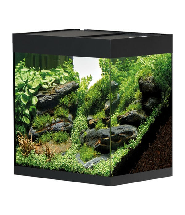 Bild 1 von Oase Aquarium StyleLine 85