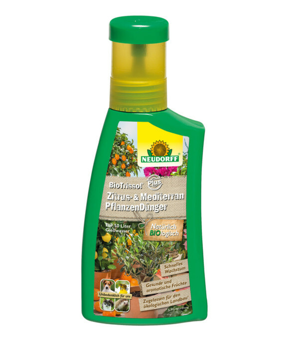 Bild 1 von Neudorff® BioTrissol® Plus Zitrus- und Mediterran Pflanzendünger, 250 ml