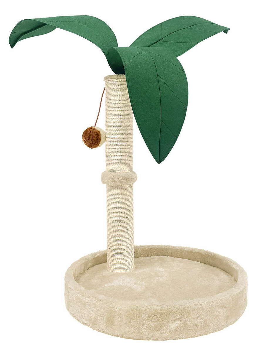 Bild 1 von Kratzbaum-Palme