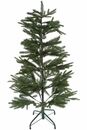Bild 1 von MyFlair 120CM FULL PE TREE WITH 241 TIPS METAL STAND