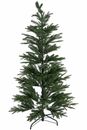 Bild 1 von MyFlair 150CM FULL PE TREE WITH 400 TIPS METAL STAND
