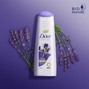 Bild 3 von Dove Pflege Geheimnisse Volumen Ritual Shampoo 0.76 EUR/100 ml