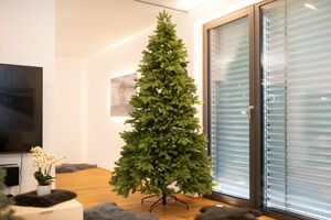 Evergreen Weihnachtsbaum Roswell Kiefer 240 cm