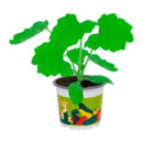 Bild 3 von GARDENLINE Gemüse- / Obstpflanze